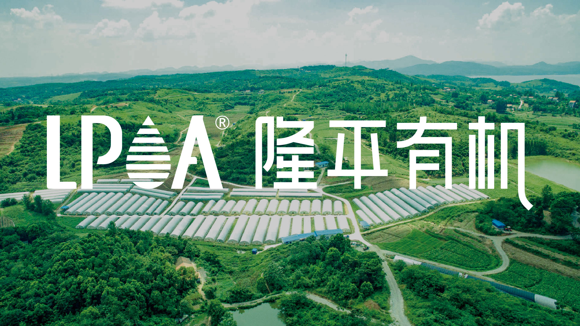 网页案例_画板 1.jpg